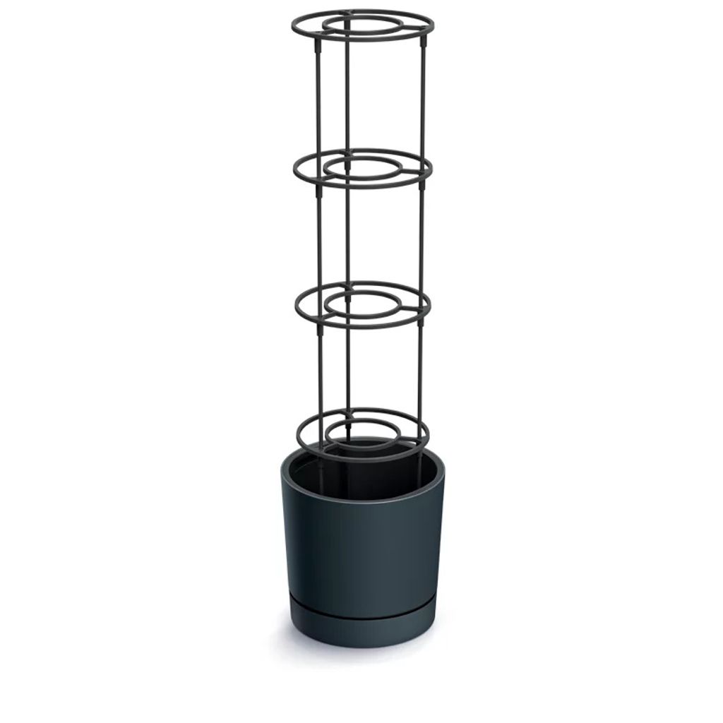 A plant pot with a metal support structure for growing plants.