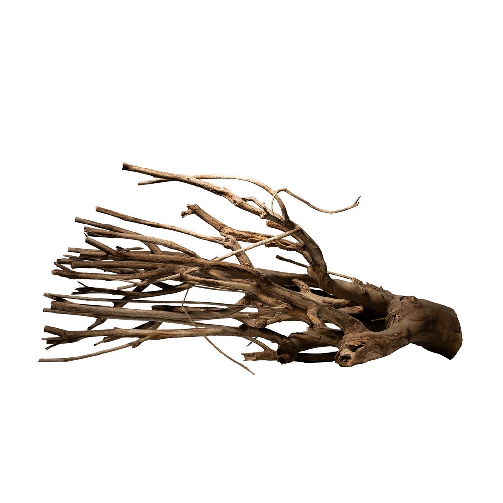 aquadeco Talawa-Holz, Größe M
