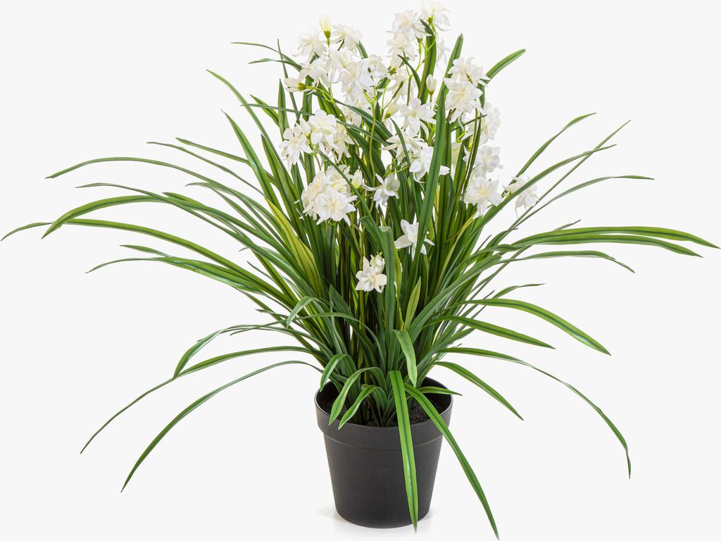 artplants.de Künstliche Orchidee JANILA im Dekotopf, weiß, 85cm - Kunstblume Cymbidium