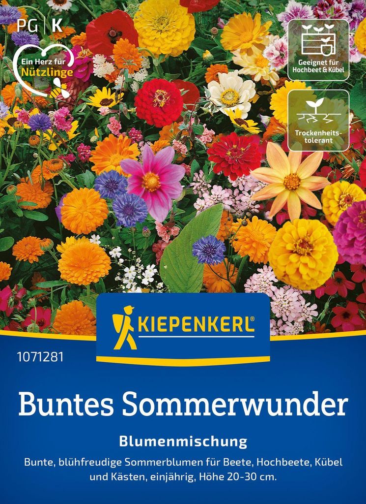 Blumen-Mischung Buntes Sommerwunder | Blumensamenmischung von Kiepenkerl