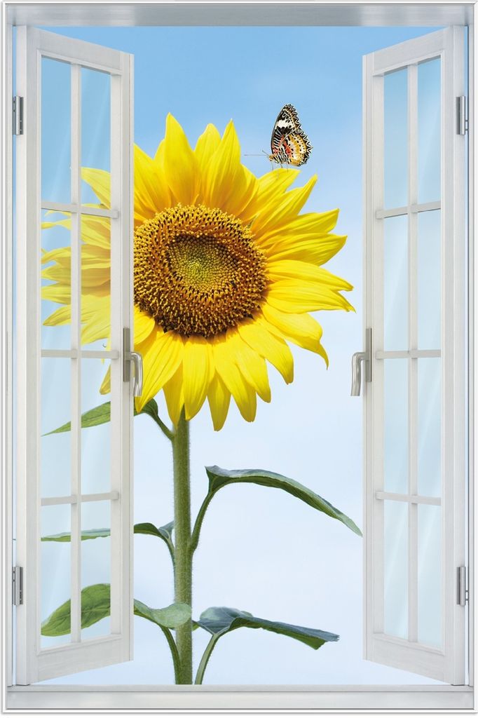 Wallario Wandbild mit Fenster-Illusion: Sonnenblume mit Schmetterling, Größe: 61 x 91,5 cm, Poster mit weißem Aluminiumrahmen