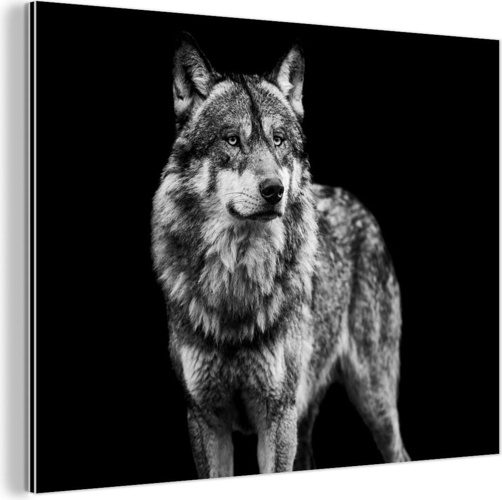 MuchoWow Wanddekoration Metall Metallbild Wandkunst 80x60 cm Wolf - Tiere - Wild - Schwarz - Weiß MuchoWow Aluminium Gemälde - Alubild