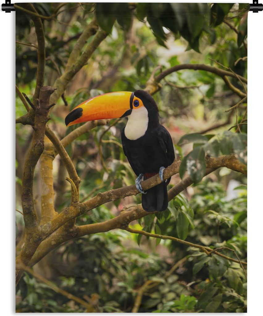 MuchoWow Wandteppich Wandbehang Vogel - Tukan - Dschungel - Natur - Tropisch 90x120 cm Tapisserie Dekoration Wandtuch - Wanddeko