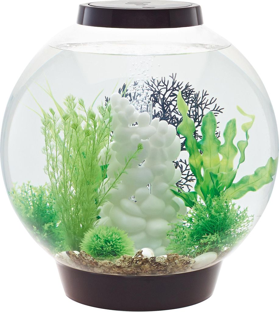 Oase biOrb CLASSIC 30 Liter Aquarium MCR schwarz Produktbild 
