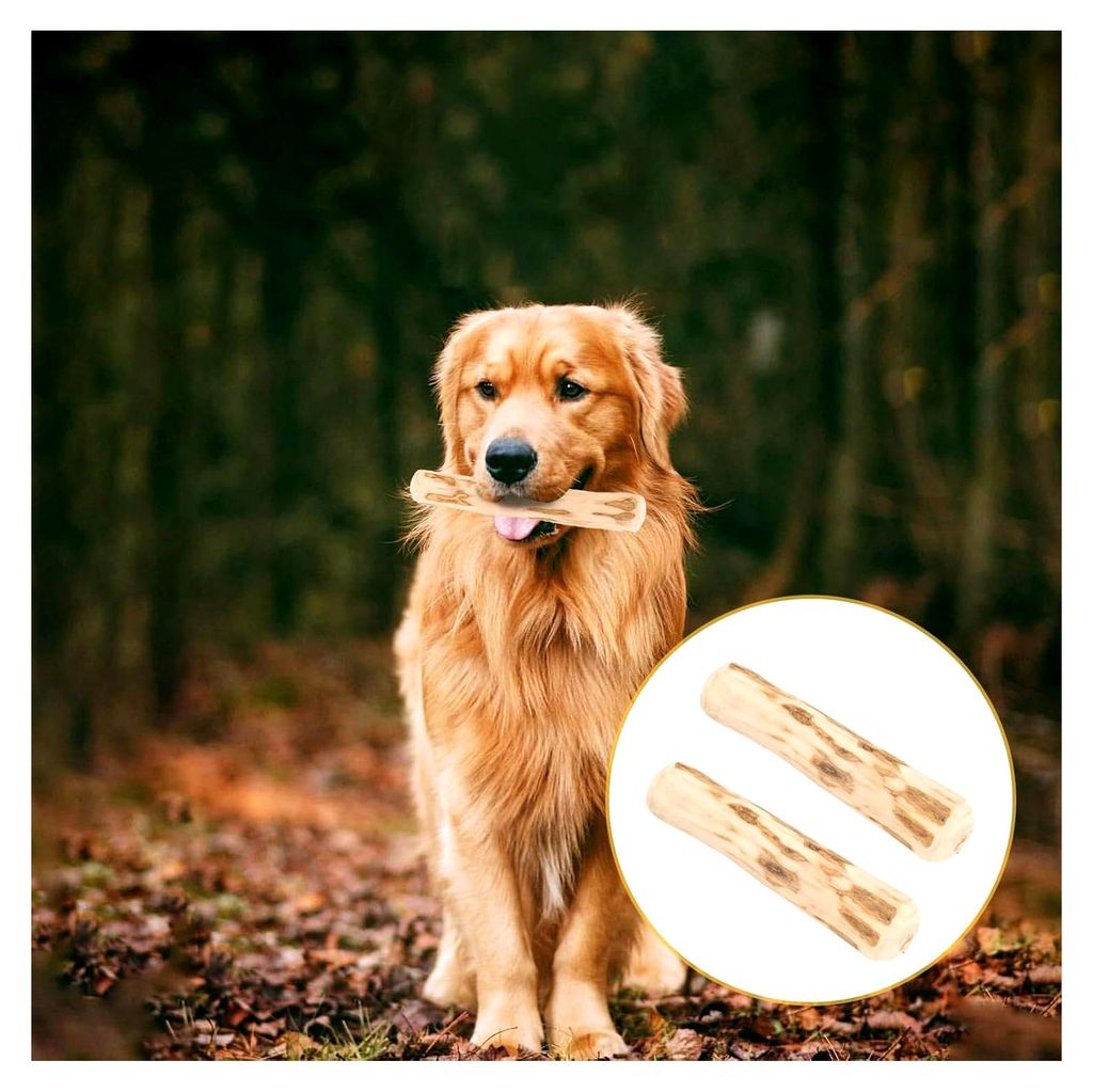 Kauknochen aus Kaffeeholz - Hundespielzeug für Welpen, 2er Pack, Zahnpflege & Kauspielzeug für kleine Hunde