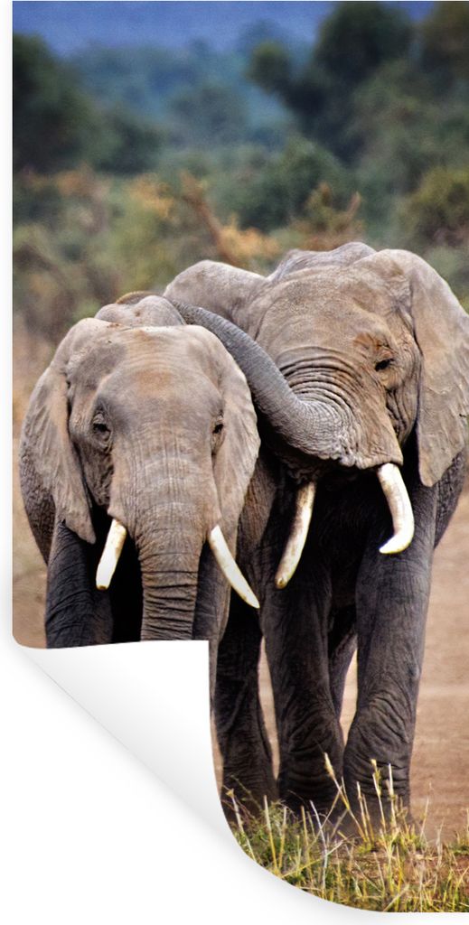 MuchoWow Wandtattoo Wandsticker Wandaufkleber Elefant - Tiere - Bäume - Natur 80x160 cm Selbstklebend und Repositionierbar - Sticker - Dekorfolie