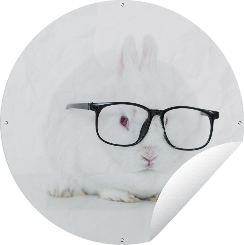 MuchoWow Gartenposter Outdoor-Poster Rund Kaninchen - Brille - Hipster Ø 150 cm Gartendeko Rundes Poster draußen