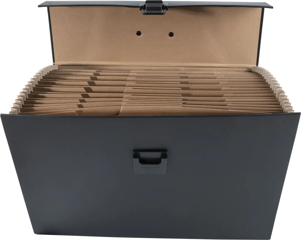 Trieur 20 Compartiments Grande Capacité Exacompta 58421E Noir Rigide