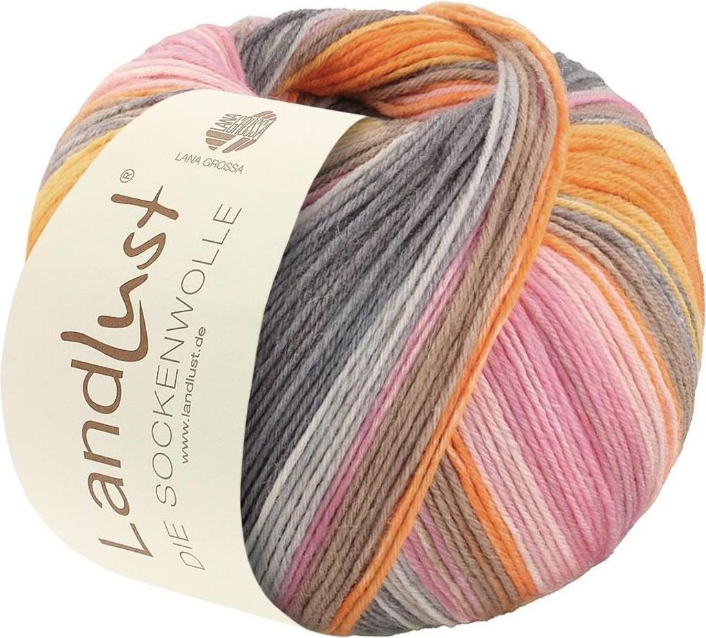 Lana Grossa Landlust DIE SOCKENWOLLE 150 g di lana a 6 Immagine del prodotto 
