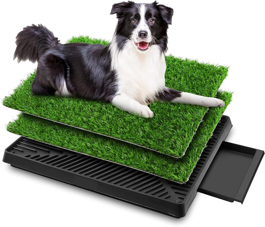 Hundeklo Hundetoilette mit Gras – Hunde Toilette Welpenklo Produktbild 