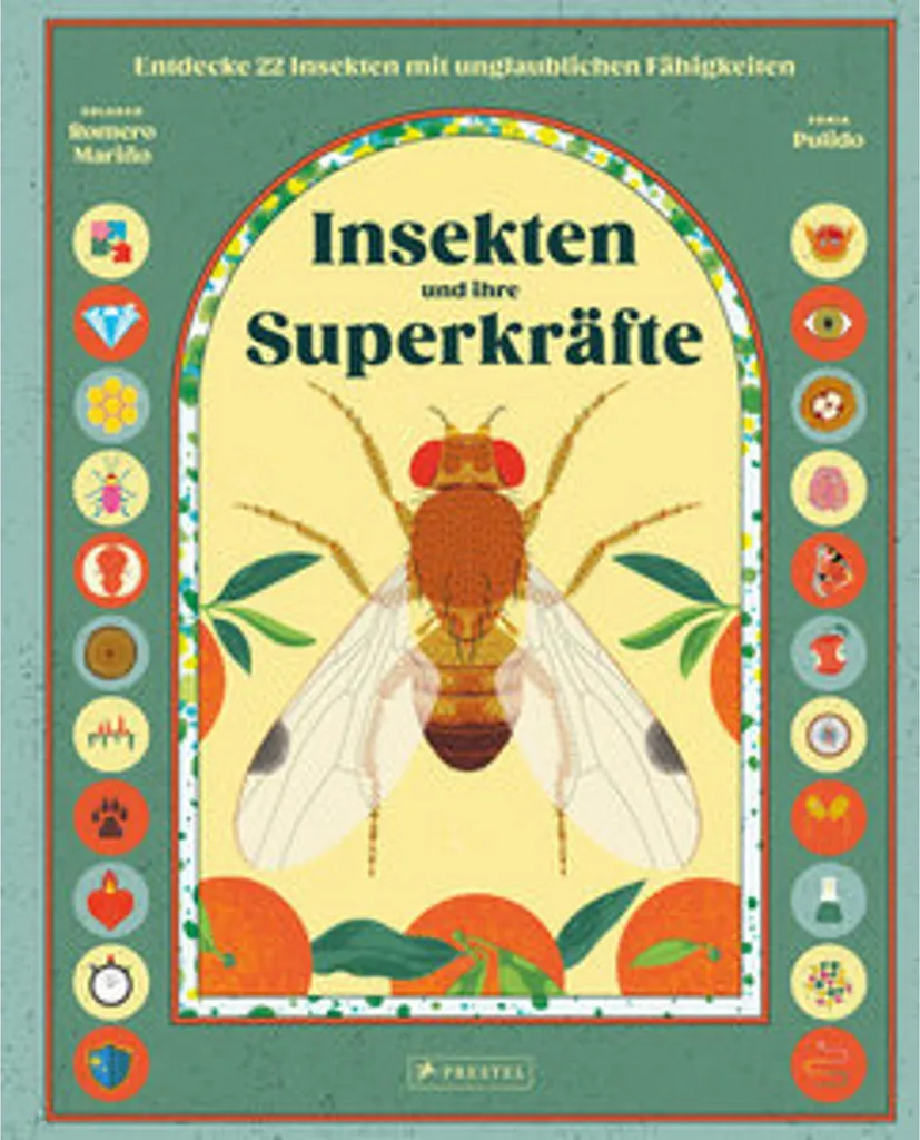 Insekten und ihre Superkräfte : Comprendre les Insectes sans Avoir Peur