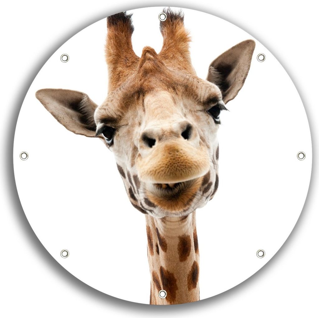 Wallario rundes Outdoor-Poster für Garten oder Balkon, Motiv Giraffenkopf, 30 cm Durchmesser