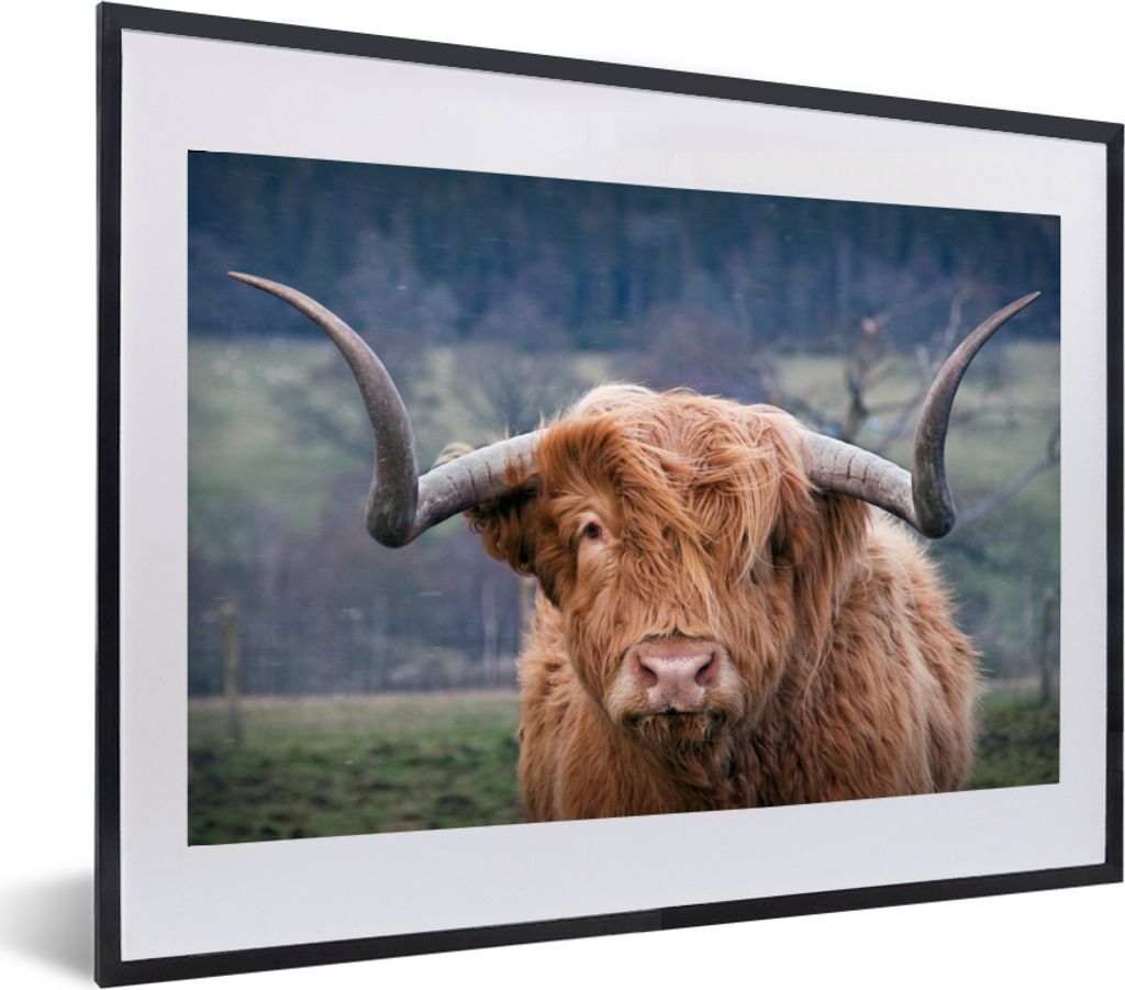 MuchoWow MuchoWow Gerahmtes Poster Schottisches Hochlandrind - Hörner - Berg 60x40 cm - Poster mit zchwarzem Bilderrahmen - Schlafzimmer - Pla...