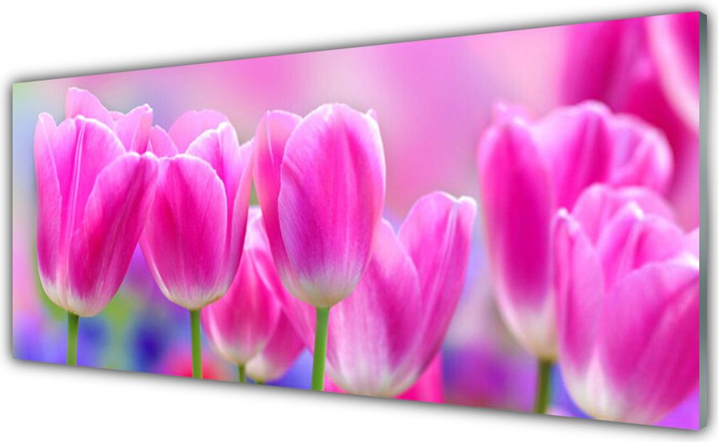 Glasbilder 125x50 Wandbild Druck auf Glas Tulpen Pflanzen