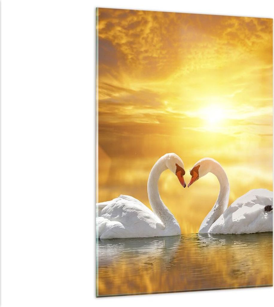 Bilder auf glas - Einteilig - Schwan Wasser Paar - 80x120cm - Glasbilder - Wandbilder - Bilder - zum Aufhängen bereit - Wanddekoration aus Glas - ...