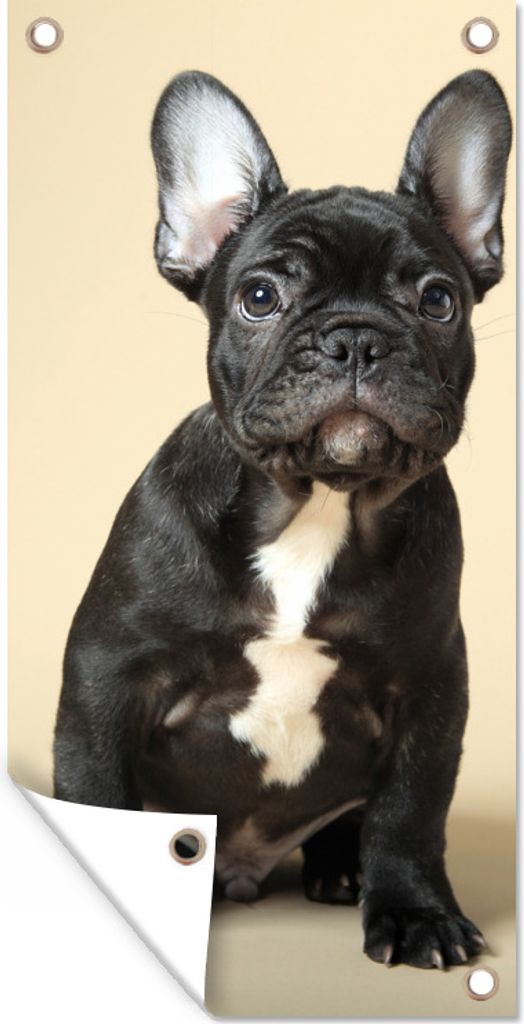 MuchoWow 80x160 cm Outdoor-Poster Gartendeko Sichtschutz Garten Poster für den Garten Französische Bulldogge - Schwarz - Beige