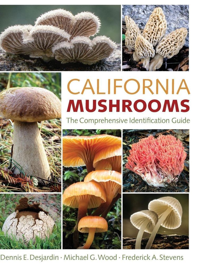 California Mushrooms