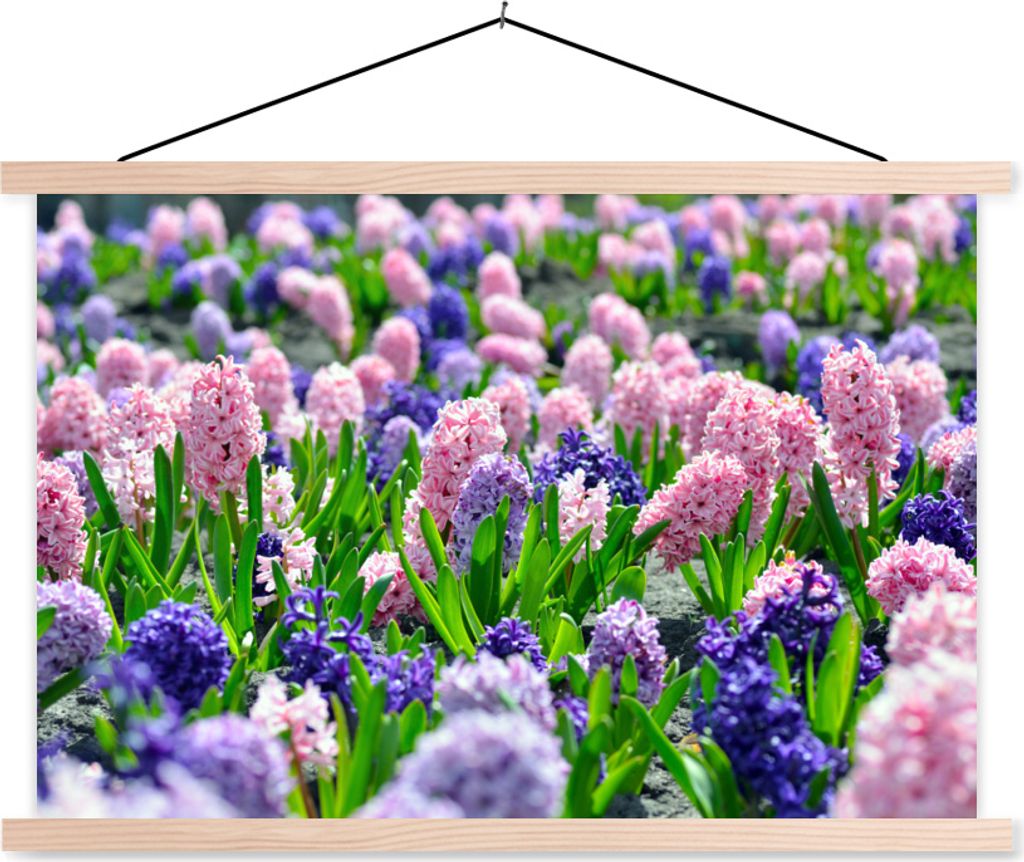 MuchoWow Textilposter Hyazinthe - Farben - Frühling 60x40 cm mit holzfarbenen Rahmen - Bilder