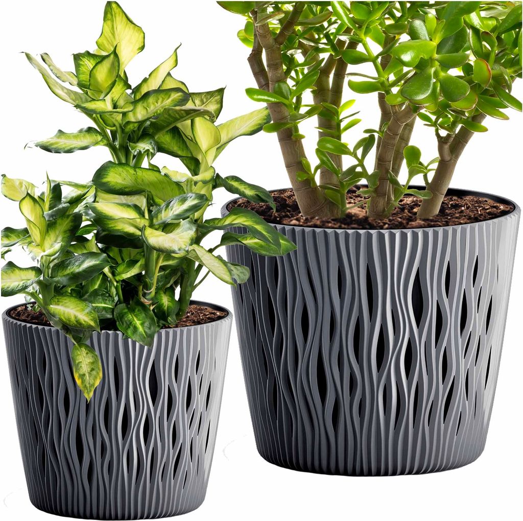 Two potted plants in decorative gray pots against a white background.
