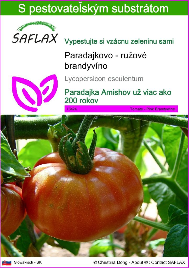 SAFLAX - Paradajkovo - ružové brandyvíno - Lycopersicon Obrázok produktu 