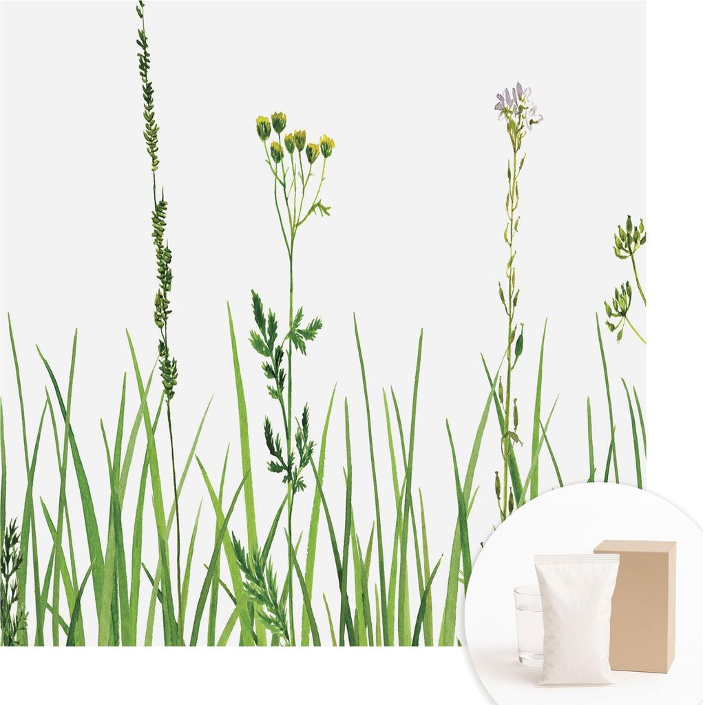 Fototapete - Wandbilder für Wohnzimmer - 250x250 cm - Dekorative Wandfolie - Modernes Design für Wanddekoration - Tapeten für Innenräume - Zart...