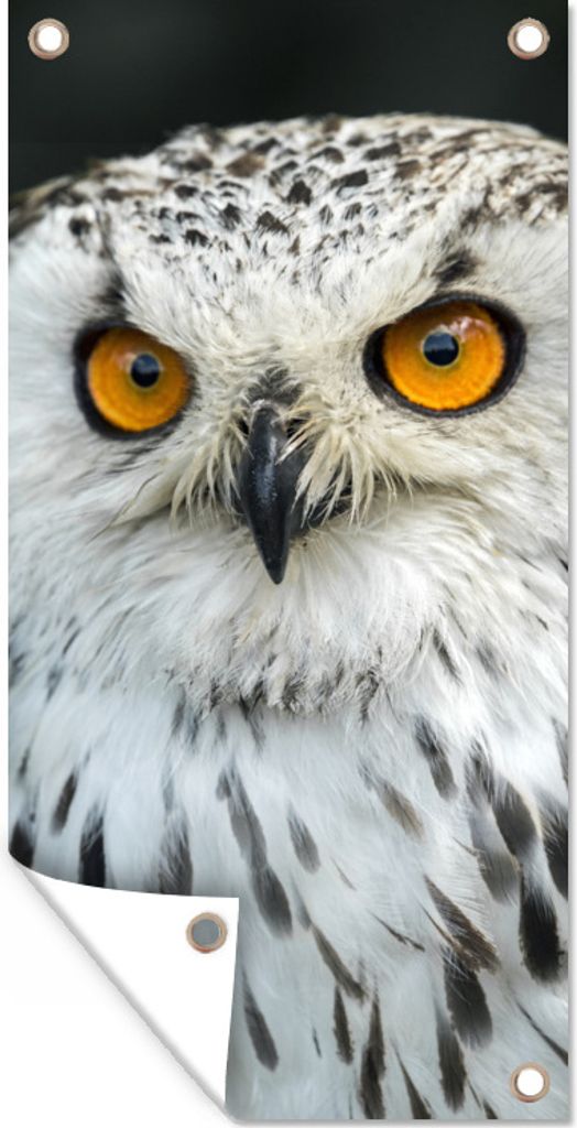 MuchoWow 80x160 cm Outdoor-Poster Gartendeko Sichtschutz Garten Poster für den Garten Eine braune Eule mit orangefarbenen Augen