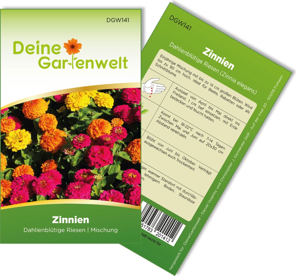 Zinnien Dahlienblütige Riesen, Mischung Samen - Zinnia Produktbild 