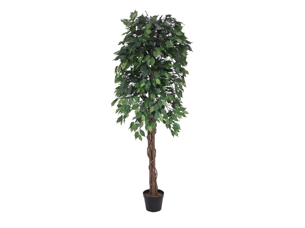 EUROPALMS Ficus-Benjamini Multi-Stamm, Kunstpflanze, 180cm (82506126)
