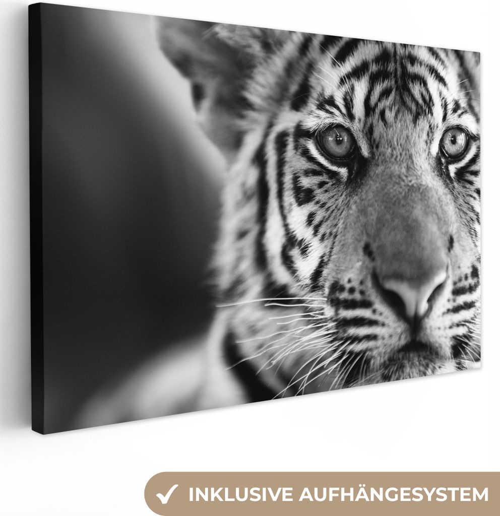 OneMillionCanvasses - Leinwandbilder - 150x100 cm, Tiger - Jungtier - Schwarz - Weiß, Wandbilder Kunstdruck Wanddekoration