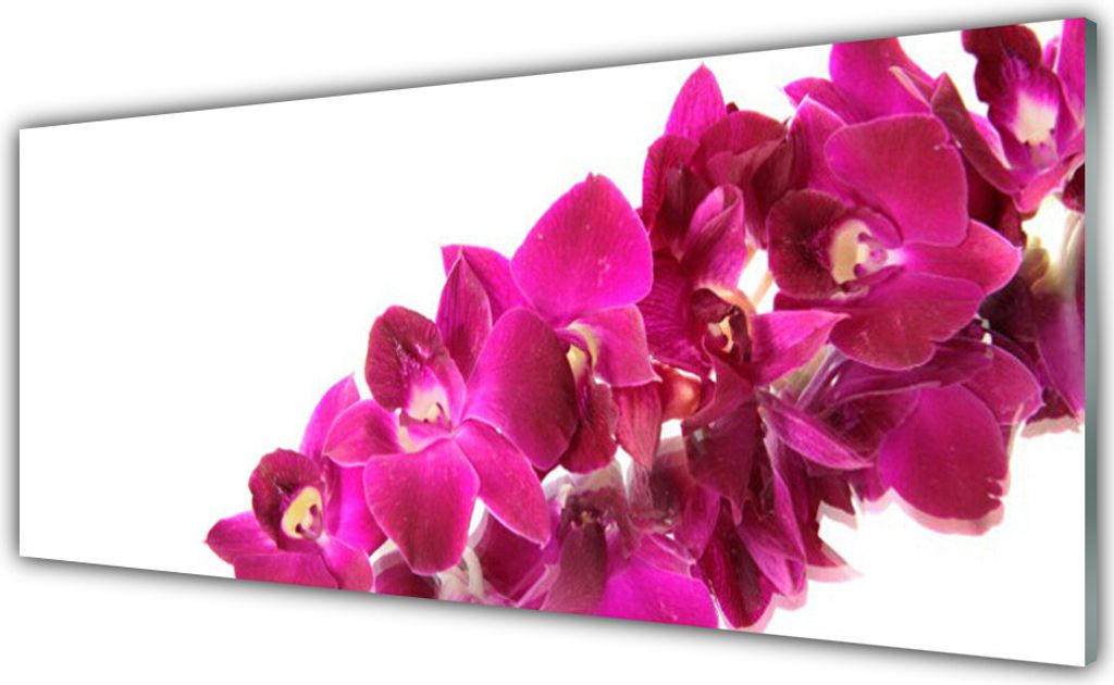Küchenrückwand aus Glas 125x50cm Spritzschutz Blumen Pflanzen