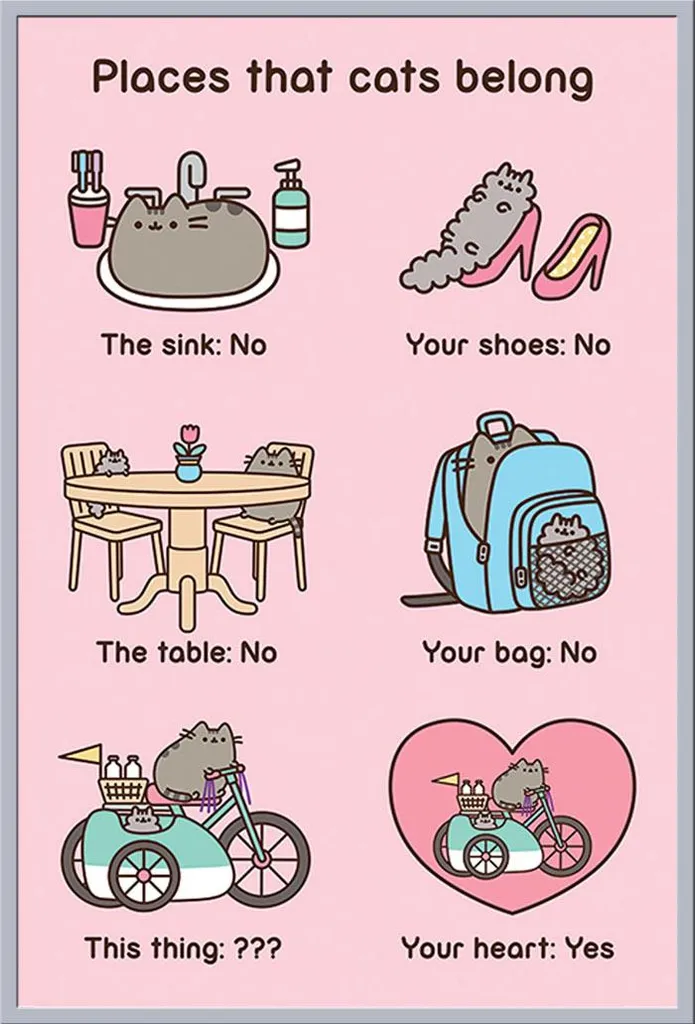 Affiche Pusheen Places Cats Belong encadrée Shinsuke Argenté 61x91,5 cm