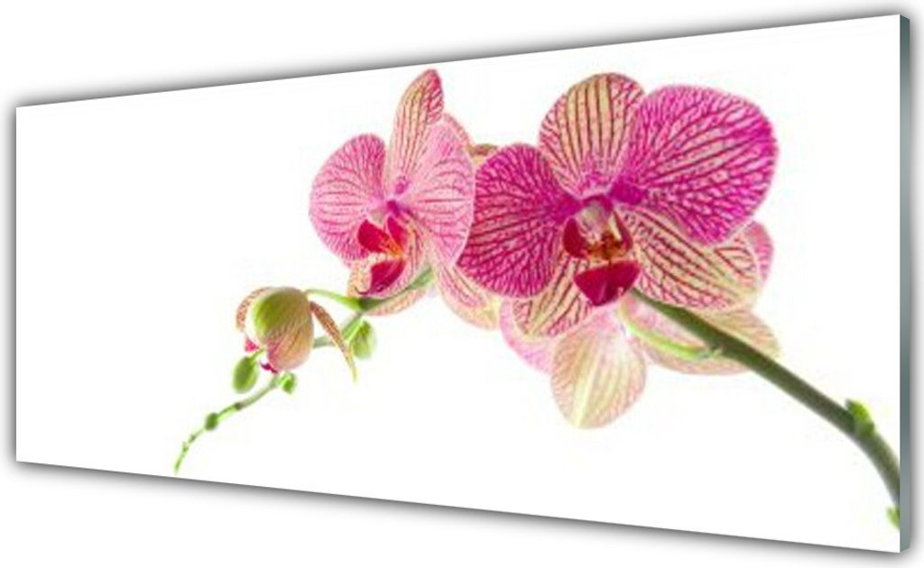 Acrylglasbilder 125x50 Wandbild Druck Blumen Pflanzen