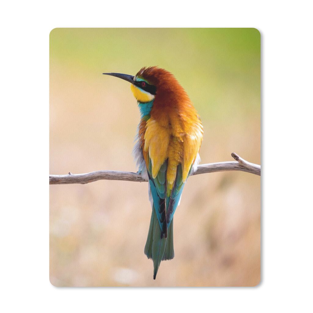 MuchoWow® Mauspad Mousepad Vögel - Bienenfresser - Tiere Produktbild 