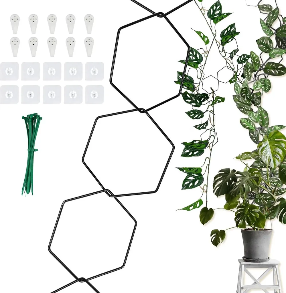 Treillis de chaînes en fer hexagonal pour plante grimpante d'intérieur