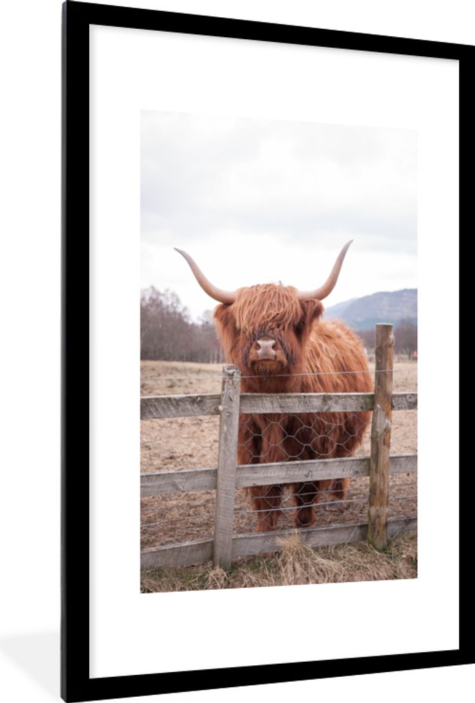 MuchoWow MuchoWow Gerahmtes Poster Scottish Hochlandrind - Gras - Zaun 60x90 cm - Poster mit zchwarzem Bilderrahmen - Dekoration - Wandposter W...