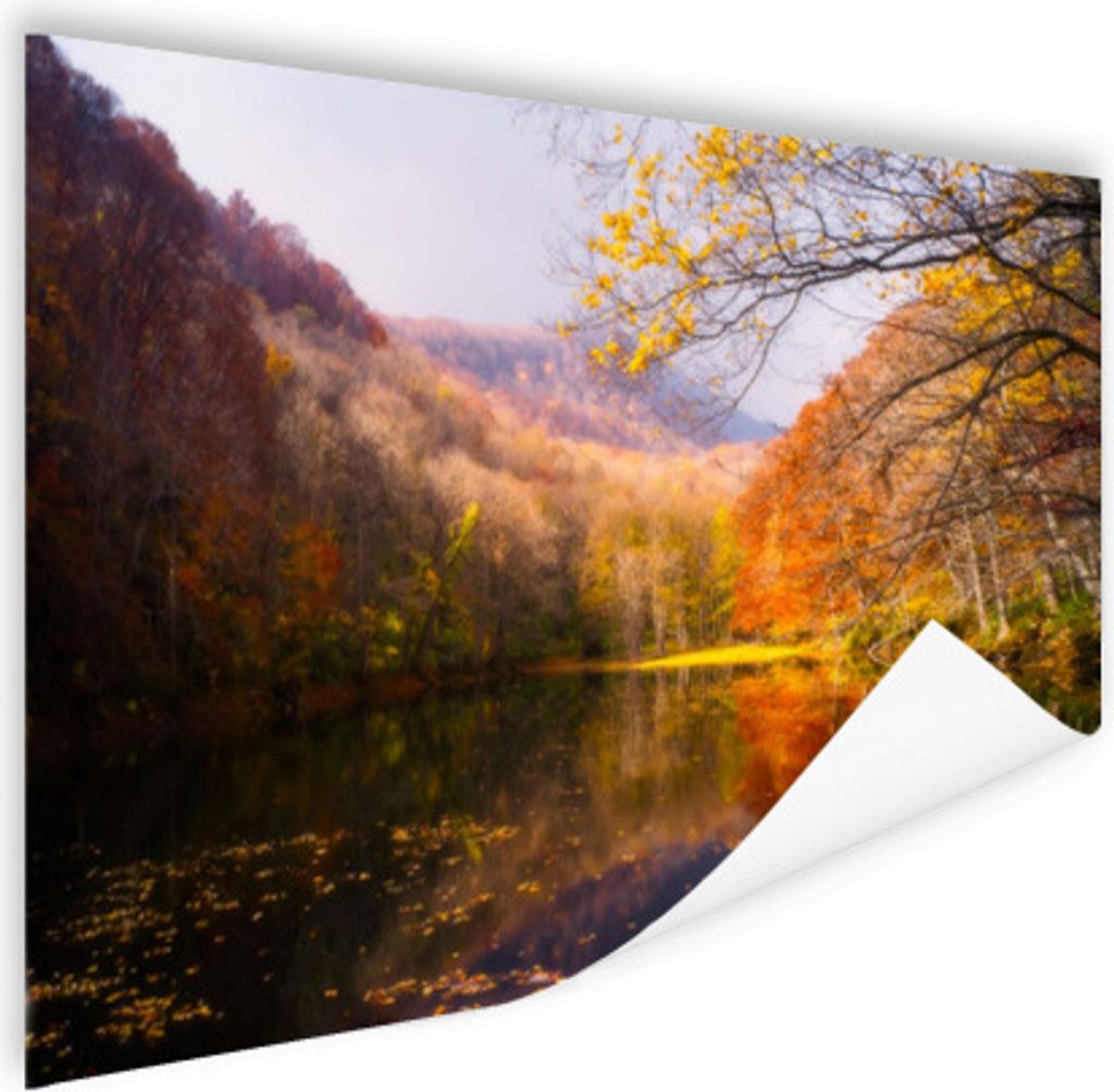 MuchoWow Poster Natur - Wald - Herbst 90x60 cm - Schlafzimmer