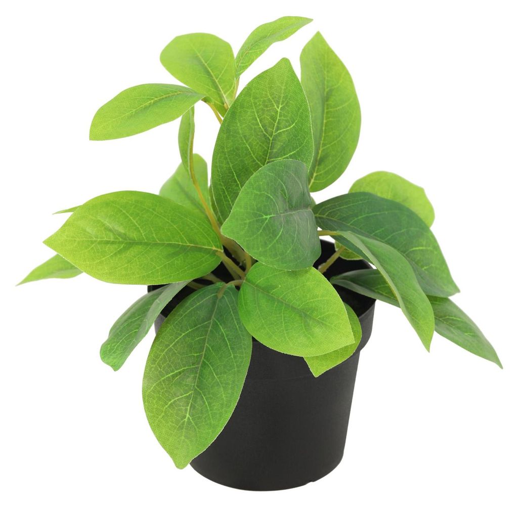 Künstliche Hoya Green 20cm im Topf – realistische Mini Kunstpflanze mit grünen Blättern – pflegefreie Zimmerdeko für Regal, Fensterbank, Sc...