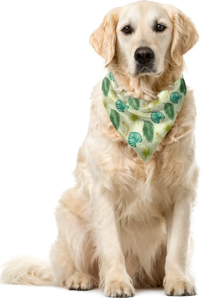 ABAKUHAUS Bandana per animali domestici Philodendron, banane e foglie artistiche, 40x40 cm, verde pastello multicolore