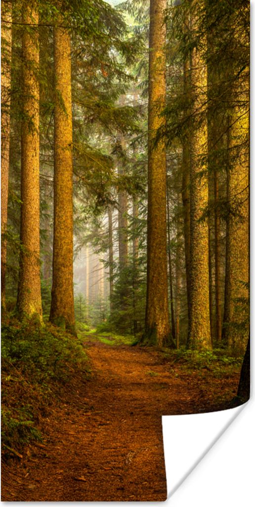 MuchoWow Poster Wald - Natur - Bäume - Landschaft - Laub 80x160 cm - Kinderzimmer