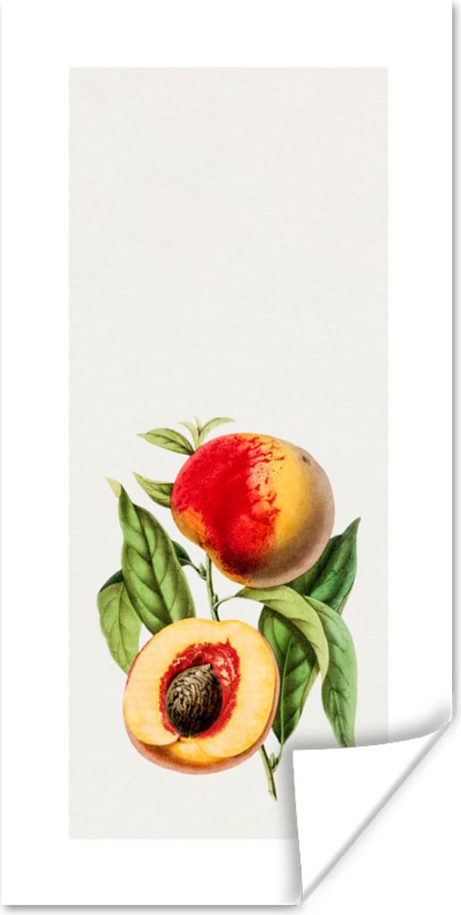 MuchoWow Poster Pfirsich - Obst - Lebensmittel 75x150 cm - Dekoration für die Wände