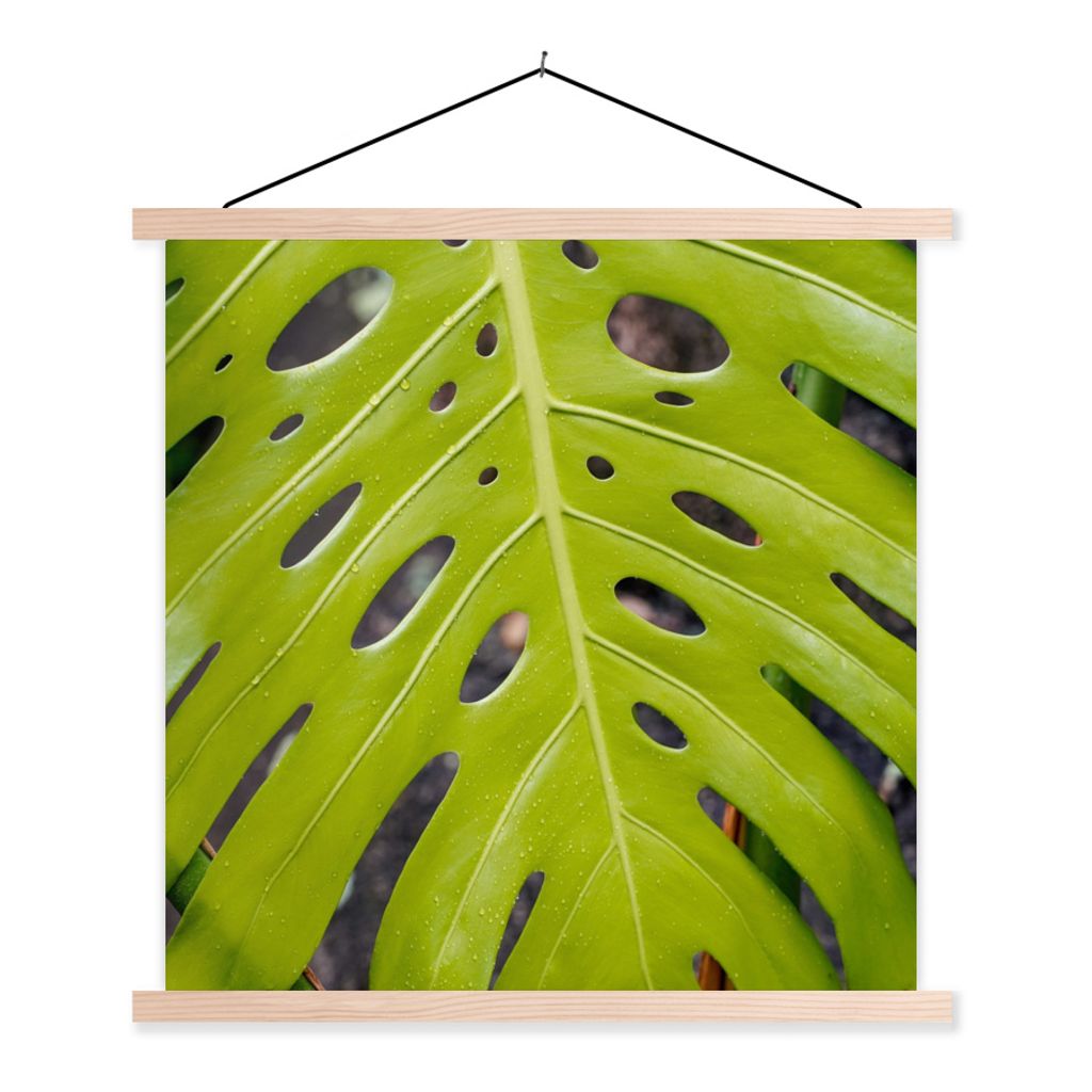 MuchoWow Textilposter Großes botanisches Blatt der Lochpflanze 40x40 cm mit holzfarbenen Rahmen - Posterleiste
