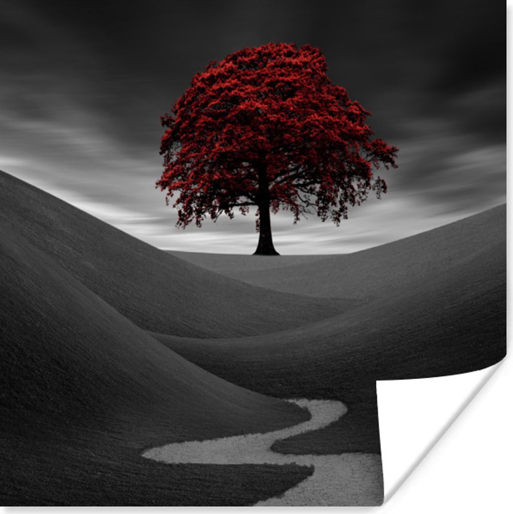 MuchoWow Poster Schwarz-Weiß-Foto mit einem roten Baum 75x75 cm - Wand Dekoration