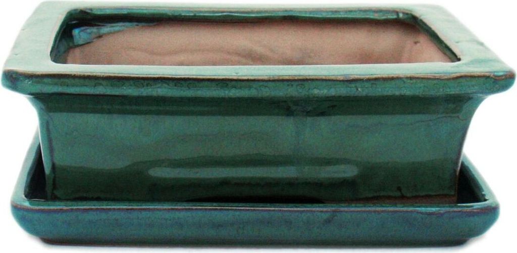 bol bonsaï avec soucoupe taille 3 - vert - carré - modèle Image du produit 