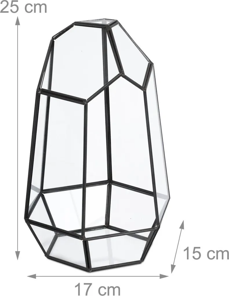 Terrarium géométrique en verre pour succulentes - Modèle Hexa 25 cm - 3