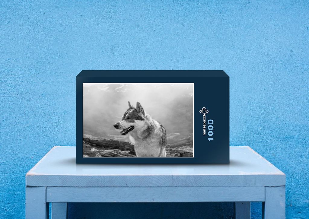 hansepuzzle 35493 - Wolf Puzzle, 1000 Teile, Tierwelt, 60,0 x 46,0cm mit hochwertiger Aufbewahrung, Kartonbox und wiederverschließbarem Beutel