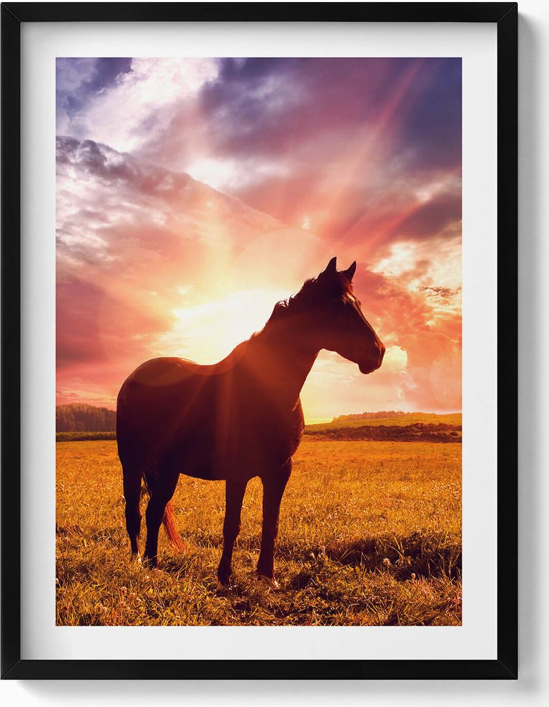 Ein Pferd auf einem Feld bei Sonnenuntergang– Wandbild mit Rahmen – Gerahmtes Bild – Wanddekoration – 60x80 cm – Schwarz Rahmen