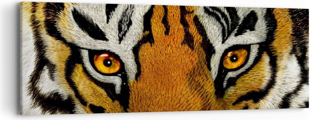 Bild auf Leinwand - Leinwandbild - Tiger Tiere Natur Safari - 90x30cm - Wand Bild - Wanddeko - Leinwanddruck - Bilder - Kunstdruck - Wanddekoration...