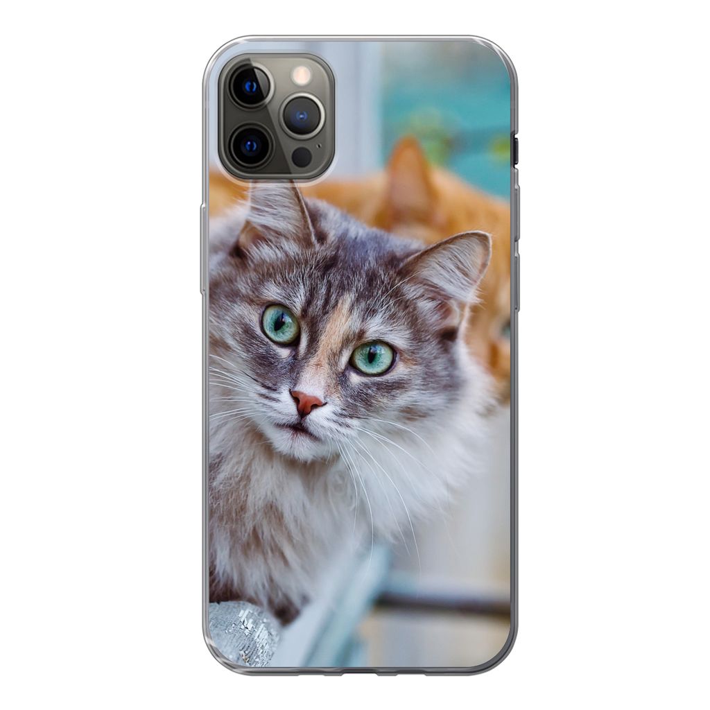 MuchoWow Handyhülle Schutzhülle Hülle für iPhone 13 Pro Max Katze - Fenster - Katzen Silikon Softcase Handy Hülle - Mobiltelefon