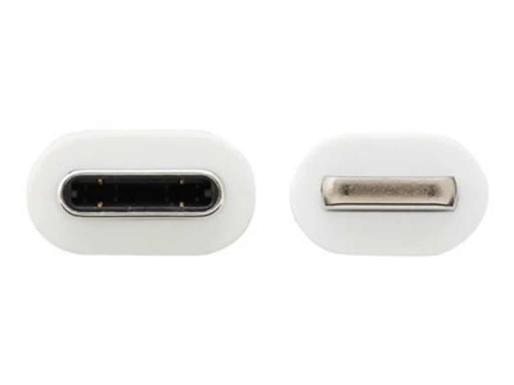 Câble USB-C Tripp Lite pour Usage Intensif en Bureau ou en Déplacement