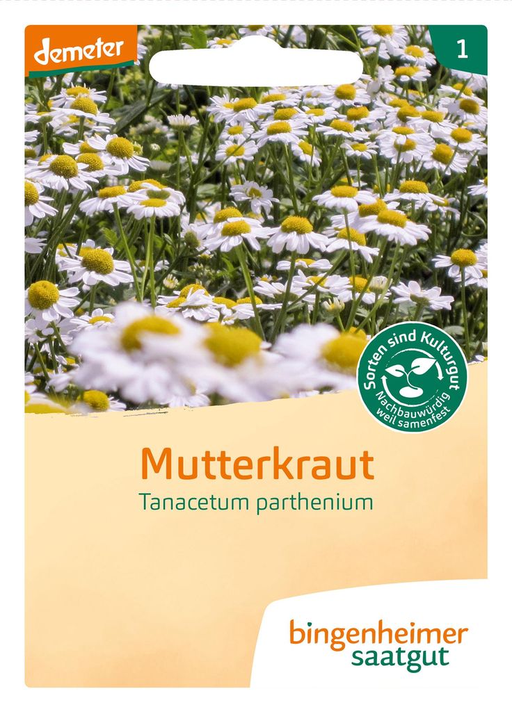 Artikelbild 2 von 'BIO Mutterkraut' aus der Kategorie Kräutersamen